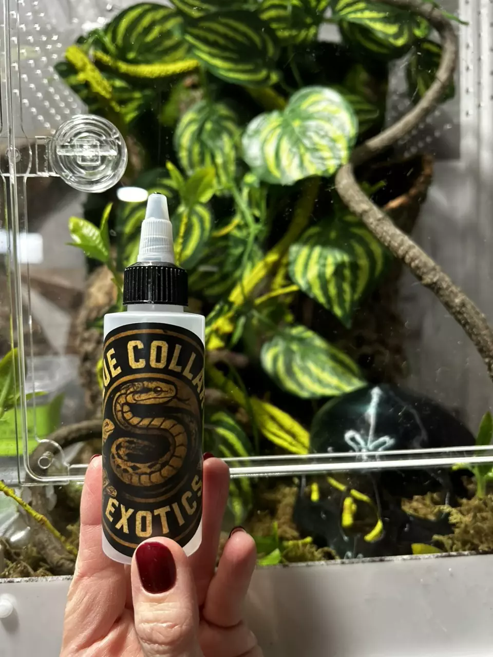 2.4 ounce feeding bottles thumbnail