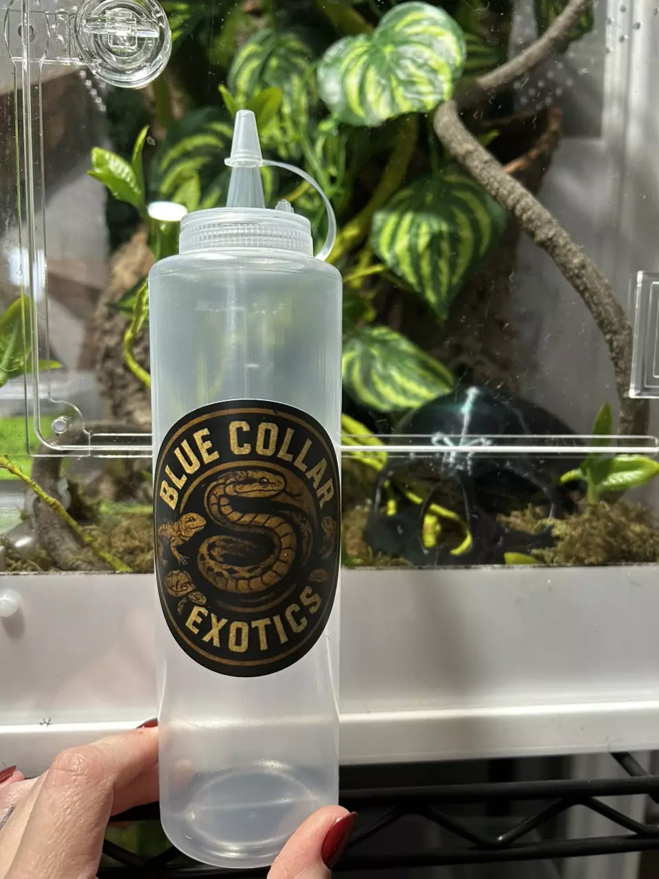 14oz feeding bottle thumbnail