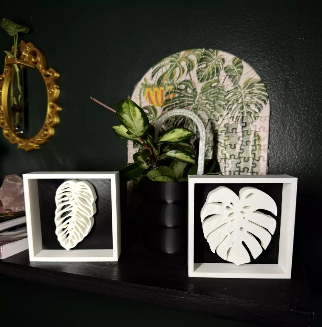 Monstera Leaf Shadowbox | 3d printed thumbnail