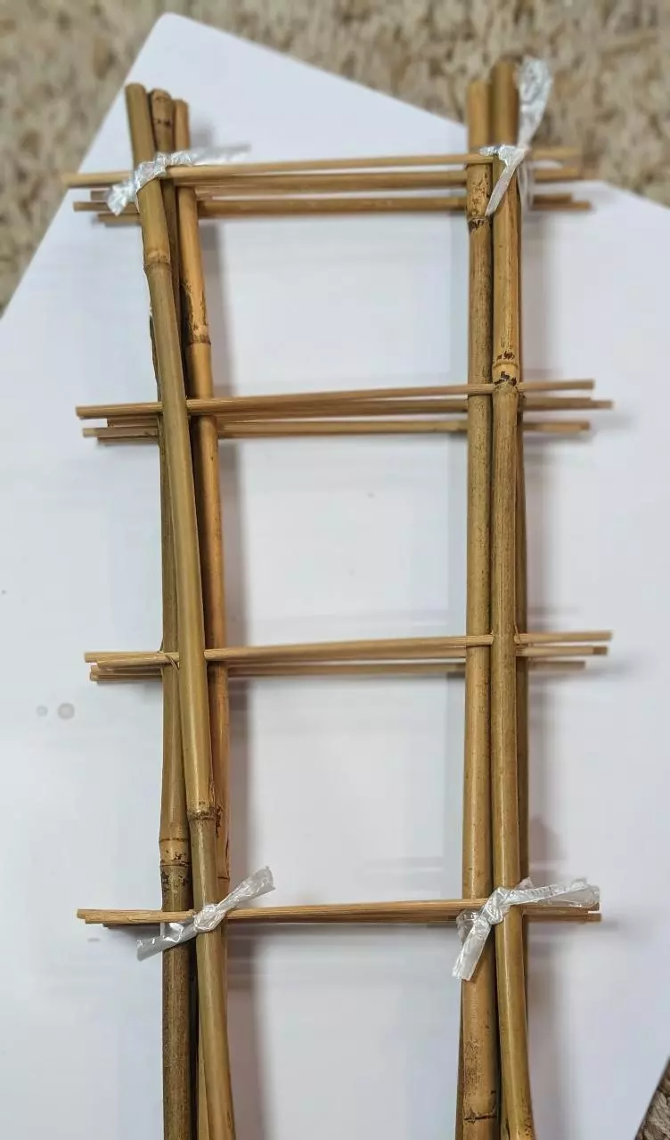 Bamboo Trellises (5) thumbnail