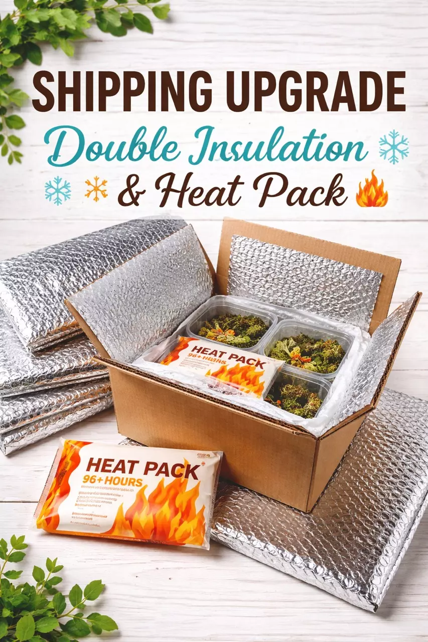 Winter Protection | Double Insulation & Heat Pack thumbnail
