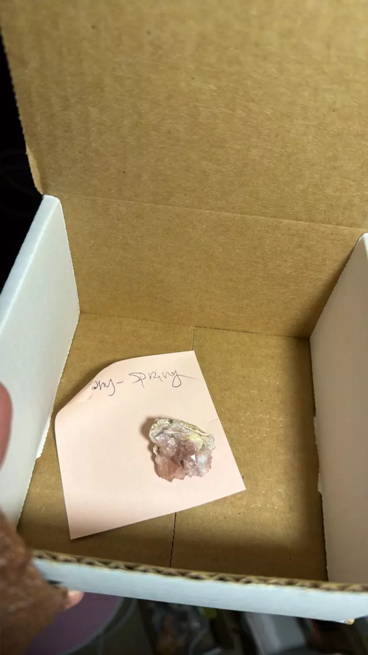 Zany spring Palmer thumbnail