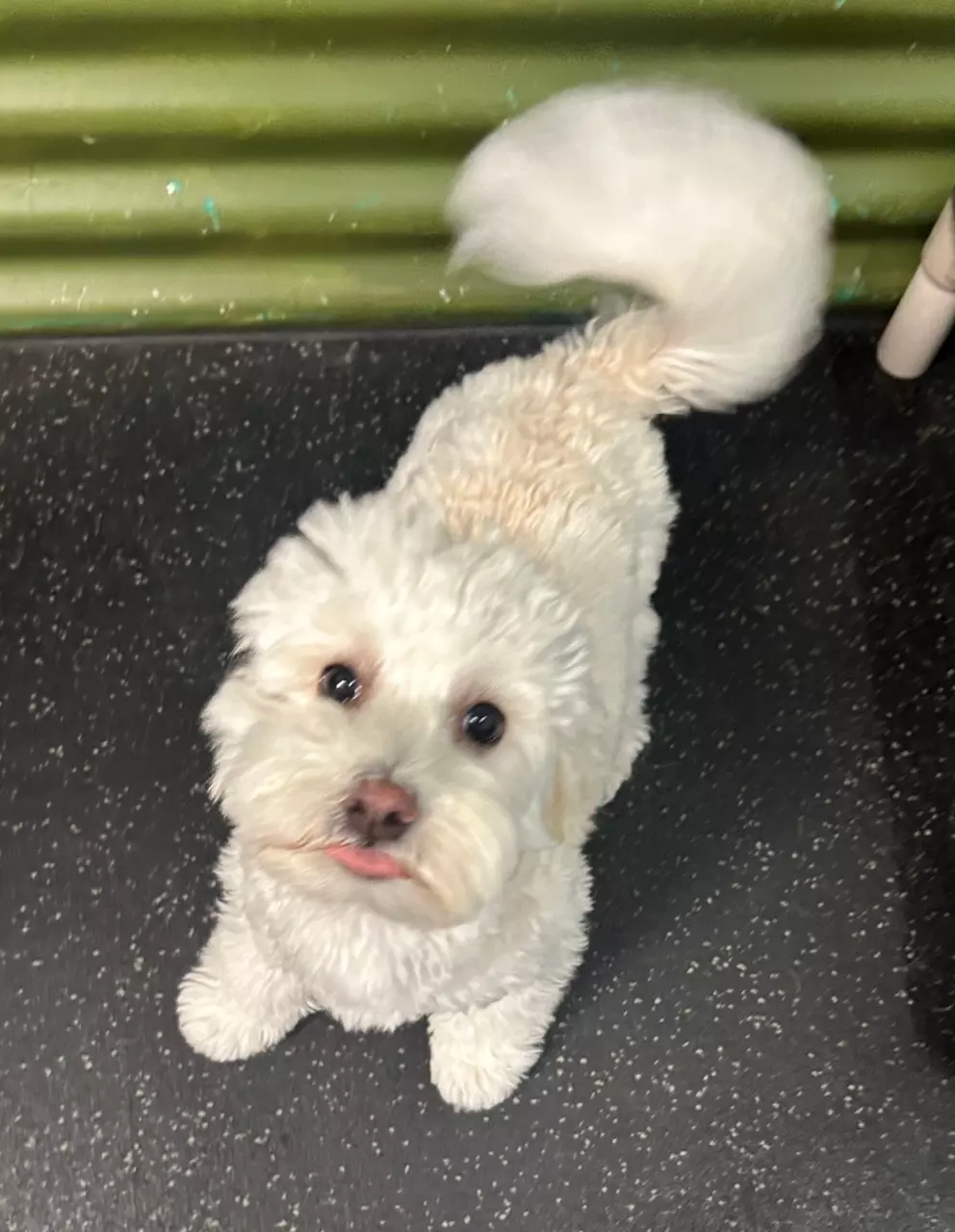 UPS 2 Day Air thumbnail