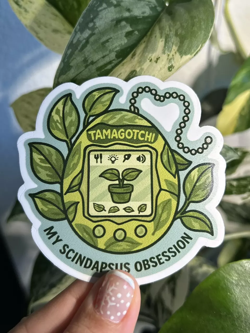 Scindapsus Tamagotchi Sticker 3”x3” thumbnail