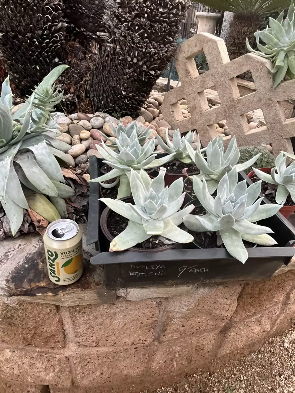 Blue Glow (no ship) thumbnail