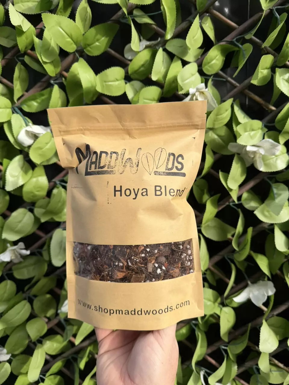 Hoya Blend Small 1.6L thumbnail