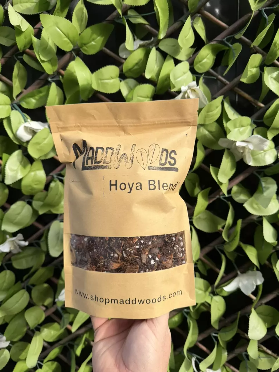 Hoya Blend Large 1 Gallon thumbnail