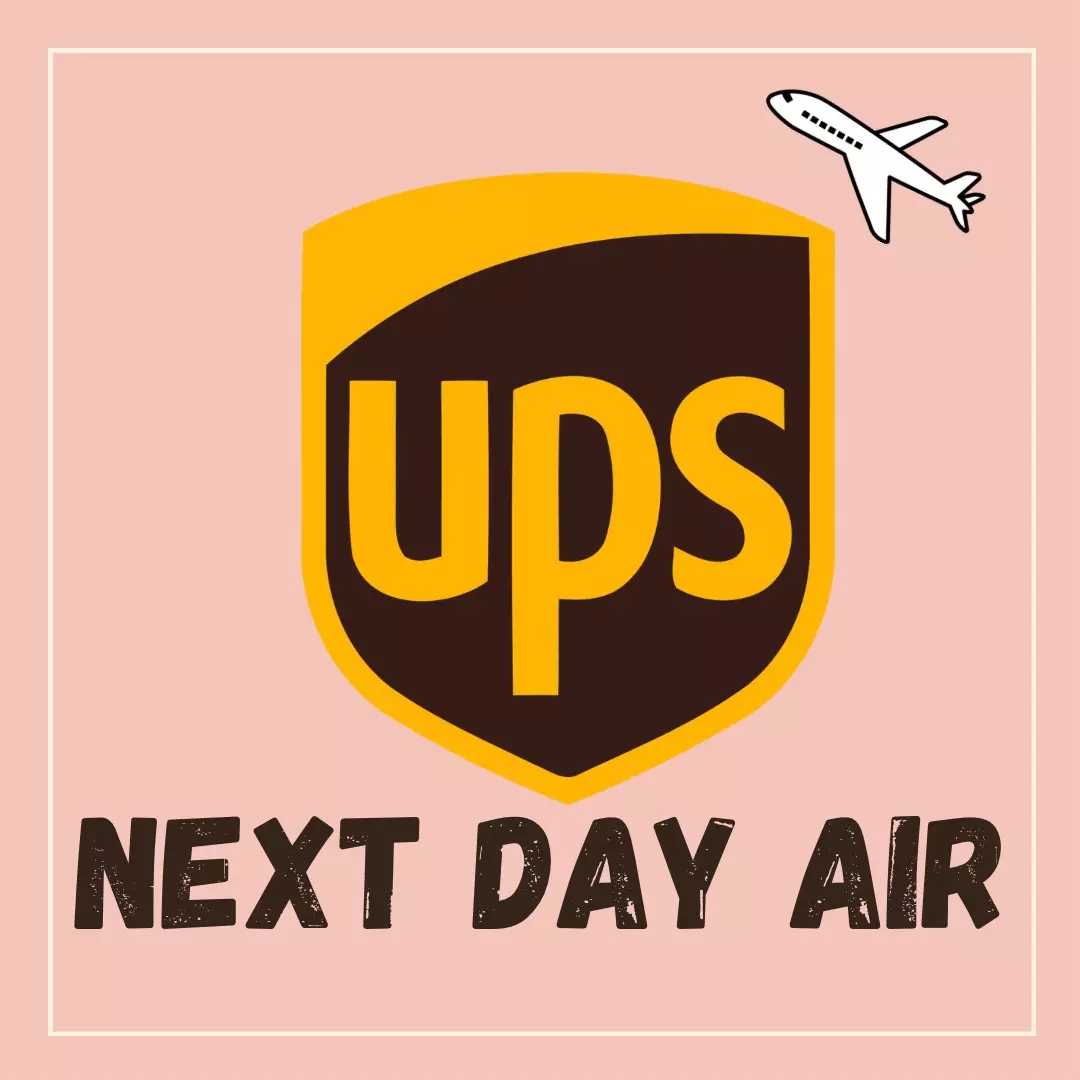 UPS Next Day Air thumbnail