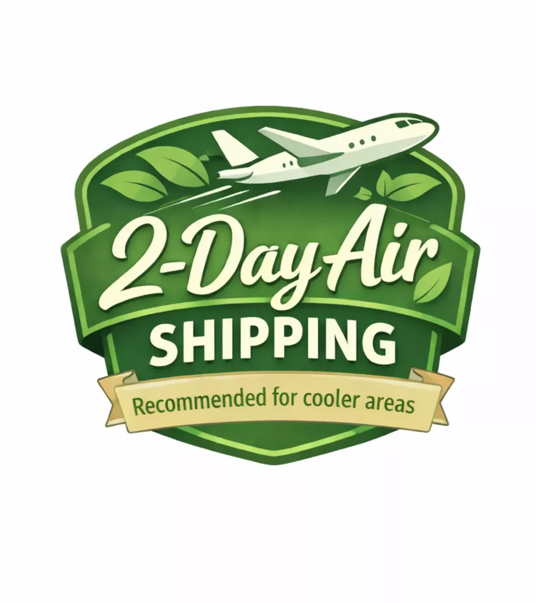 UPS 2 Day Air. thumbnail