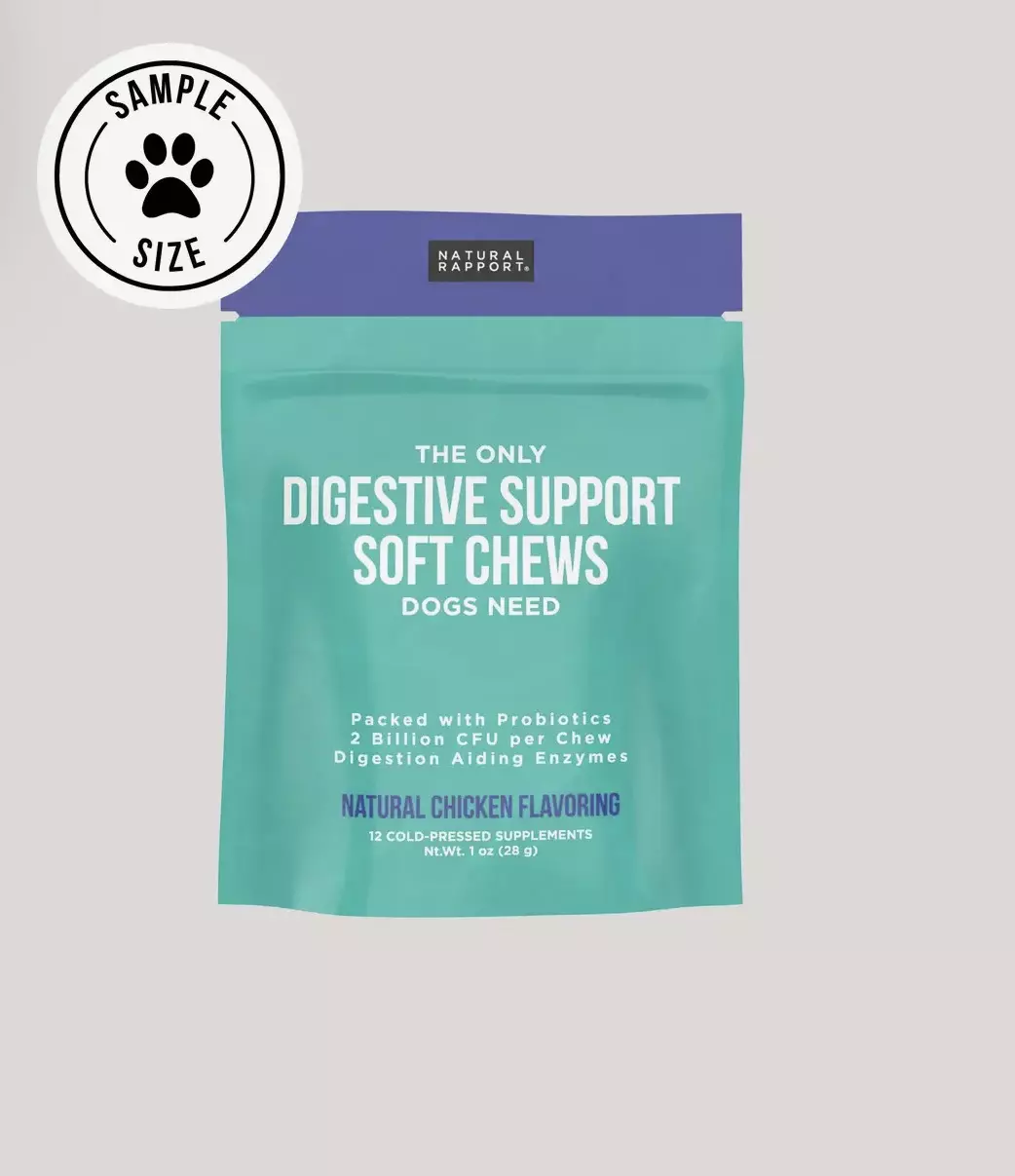 Natural Rapport digestive chews for dogs thumbnail