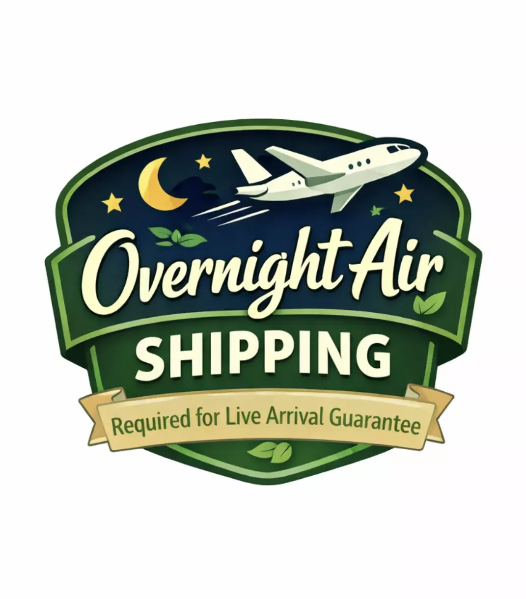 UPS Overnight Air thumbnail