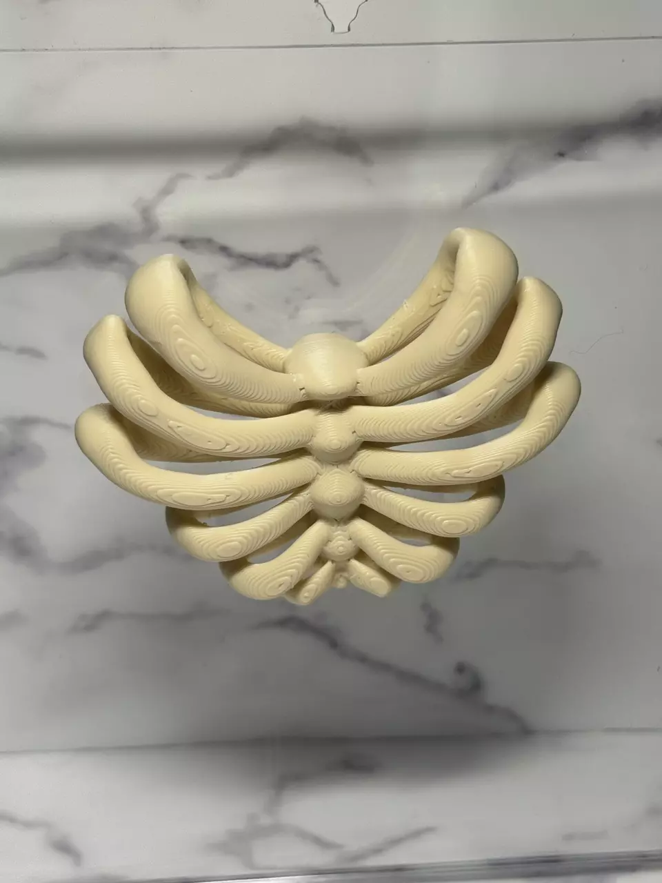 Magnetic Ribcage Decor for Smaller Enclosures. thumbnail