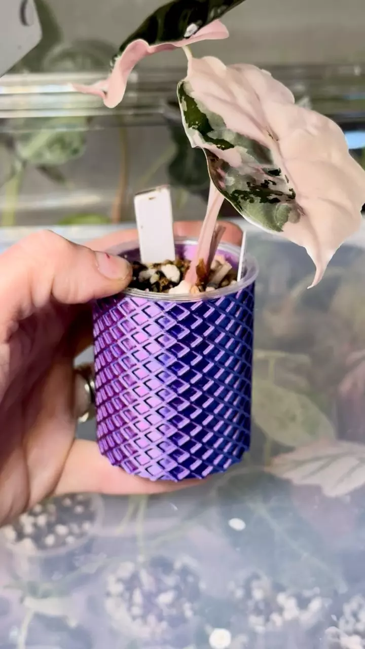 3D- Gradient purple/blue cache pot set of 10 thumbnail