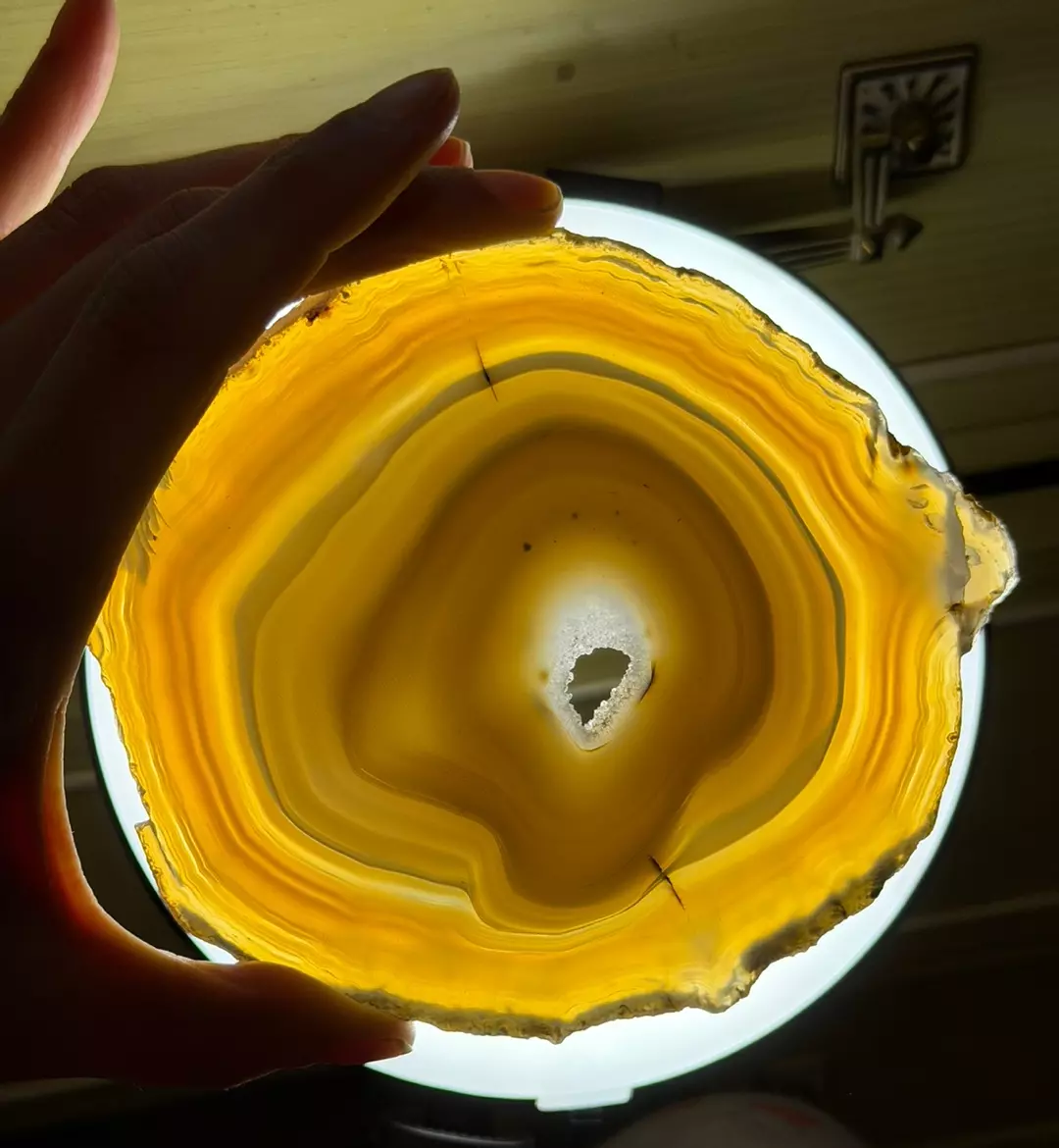 Translucent Golden Agate Slice — Druzy Window | Shipped $109 thumbnail