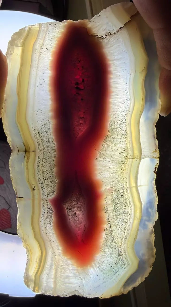 Agate Slice with Manganese Dendritic Inclusions — Collector Grade | $109 Shipped thumbnail