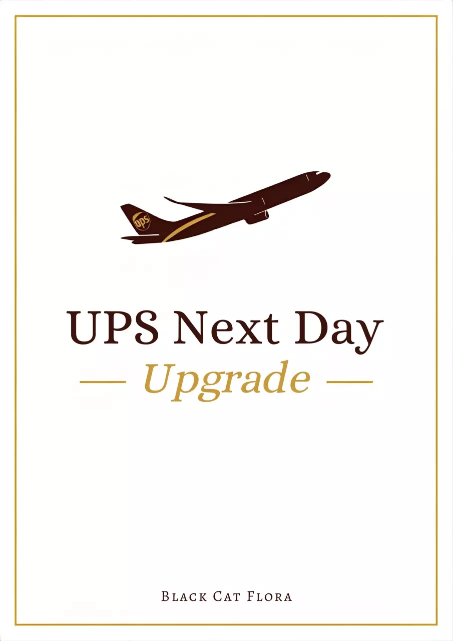 UPS Next Day Air Upgrade (Excluding AK & HI) thumbnail