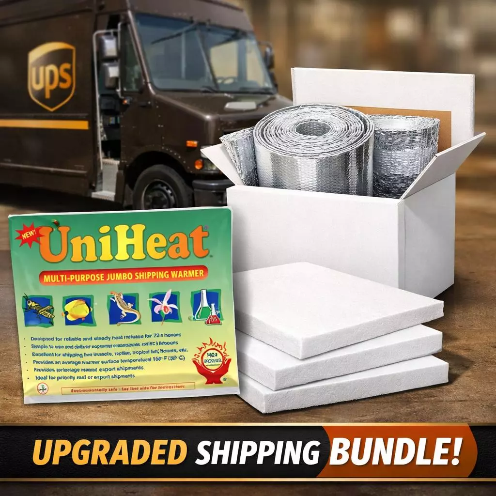 Keep it Cozy thumbnail