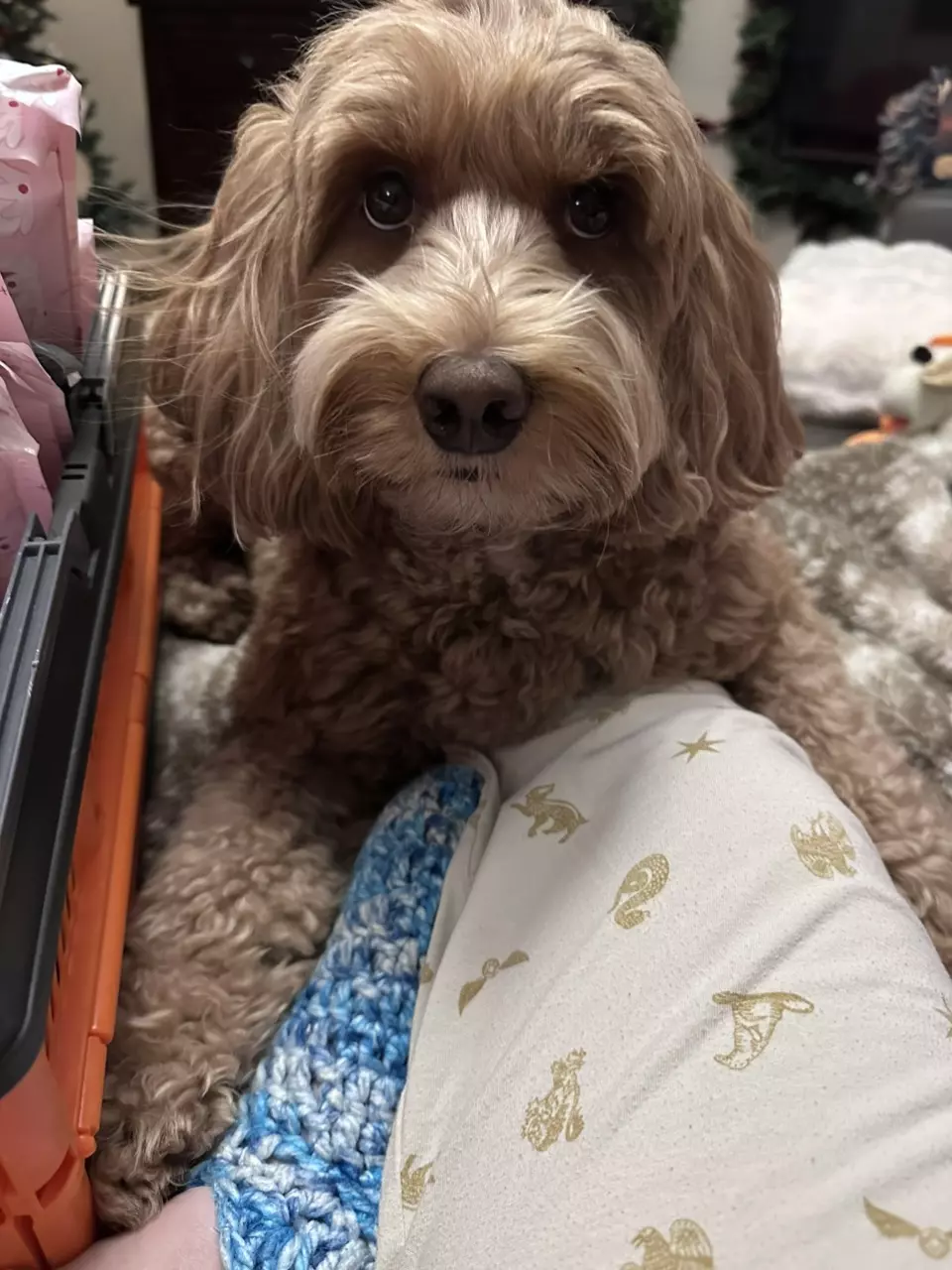 Jeanette private thumbnail