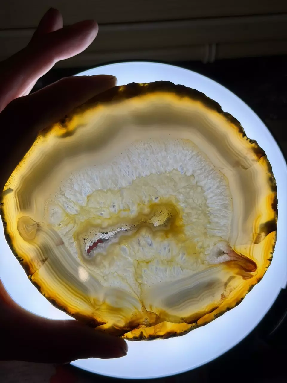 Agate Slice with Natural Druzy Vein — Collector Specimen | Shipped $ 129 thumbnail