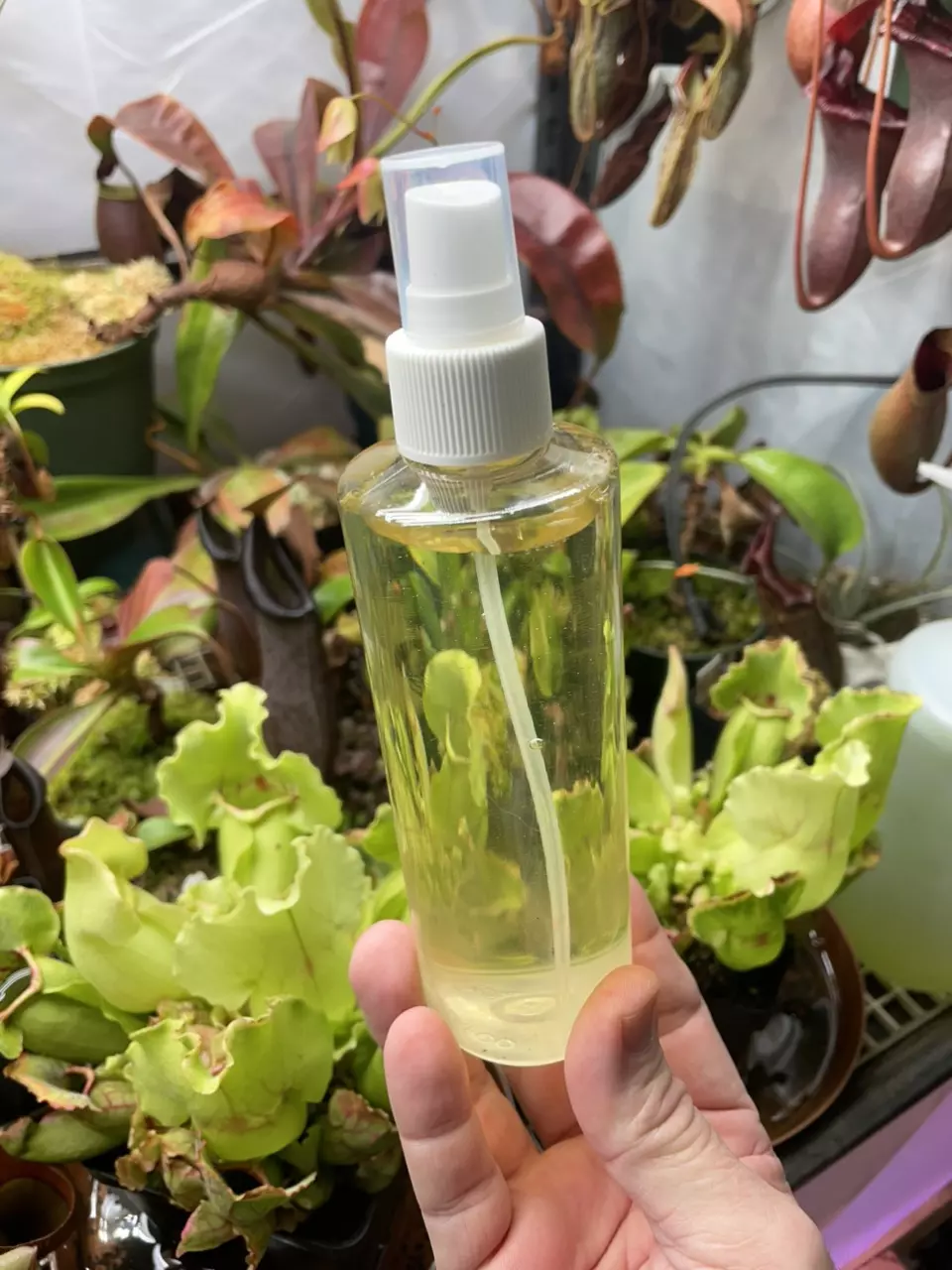 Sarracenia & Nepenthes fertilizer thumbnail