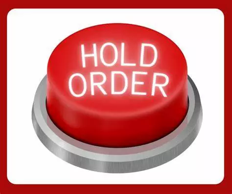 Hold Order Till 2/16/26 thumbnail