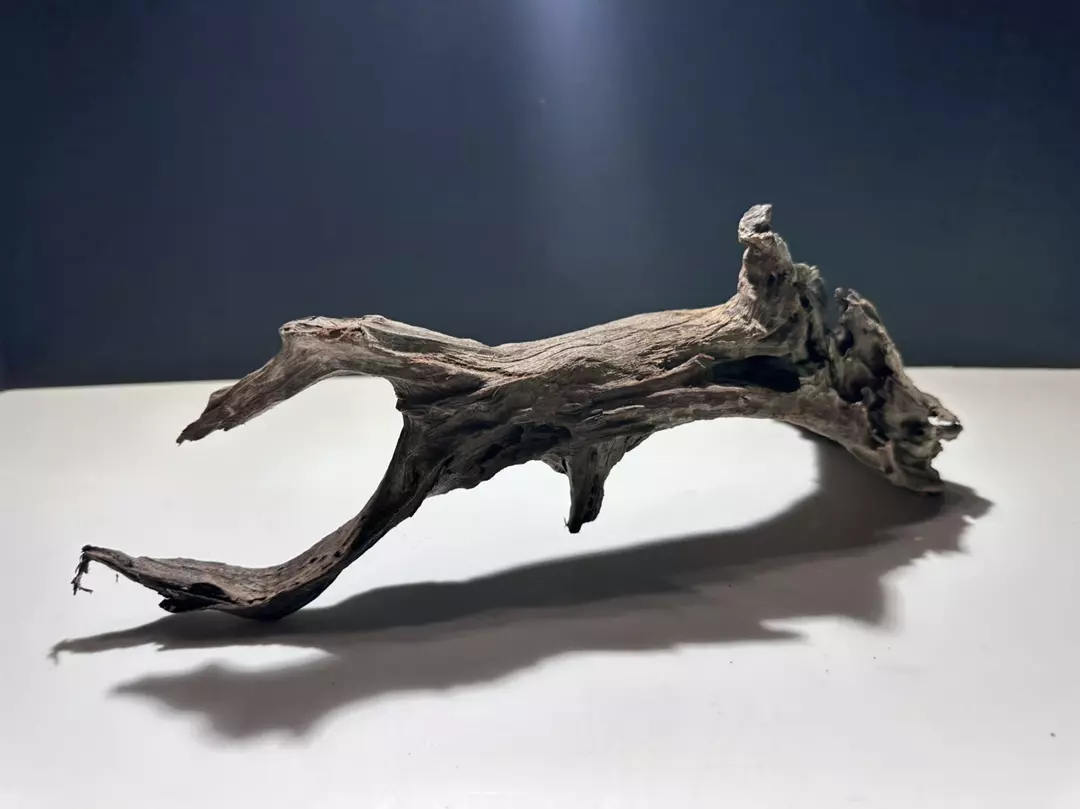 Premium Driftwood thumbnail