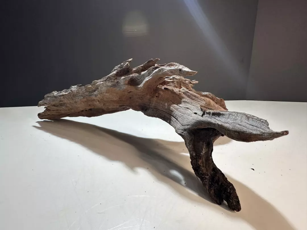 Premium Driftwood thumbnail