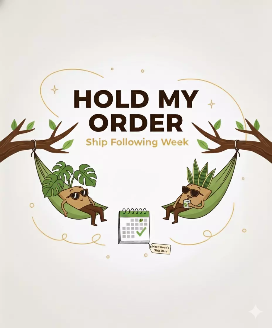 Hold my order thumbnail