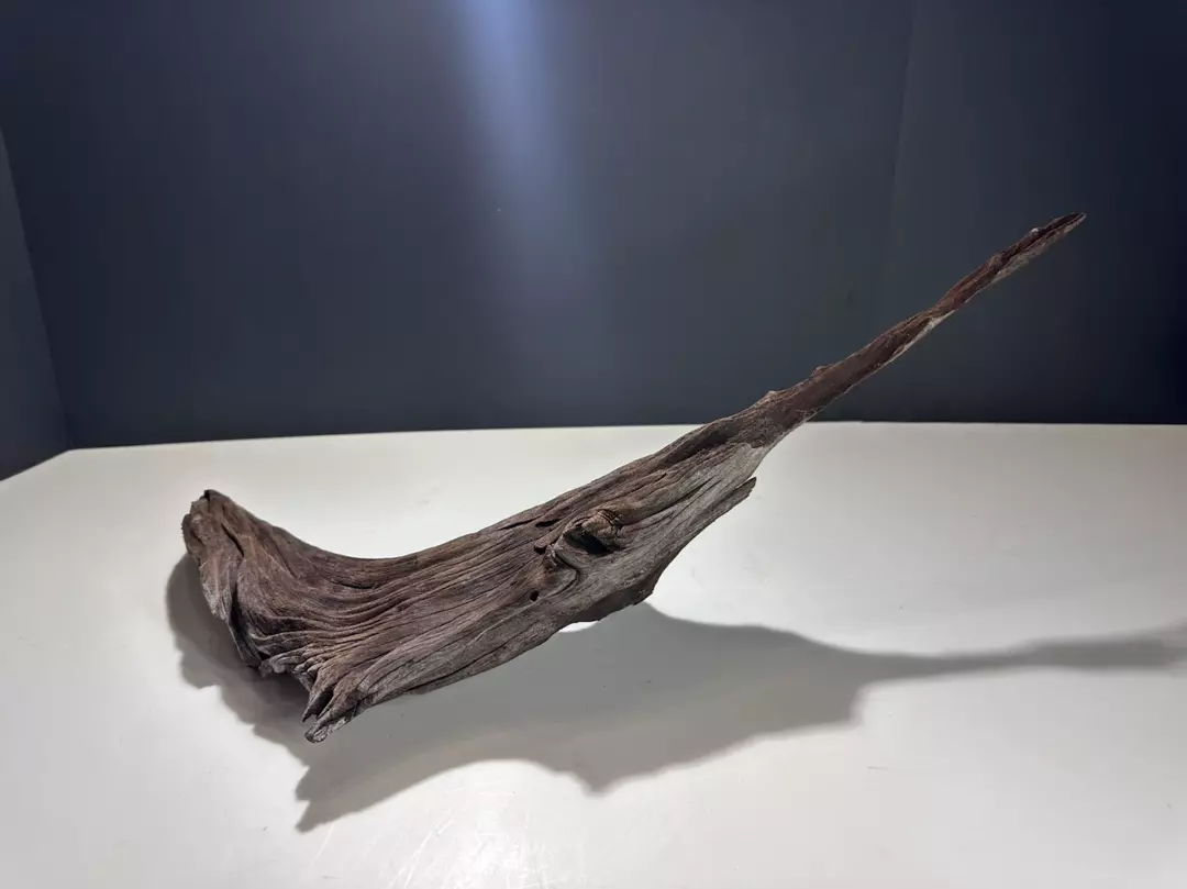 Premium Driftwood thumbnail