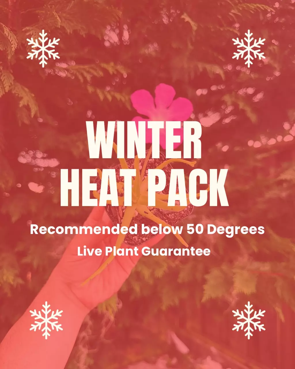 Heat Pack 72 Hour thumbnail