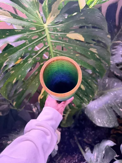 plant/Custom Pot with 2 moss poles, base, slow drip for pole (color options available)-4-thumbnail