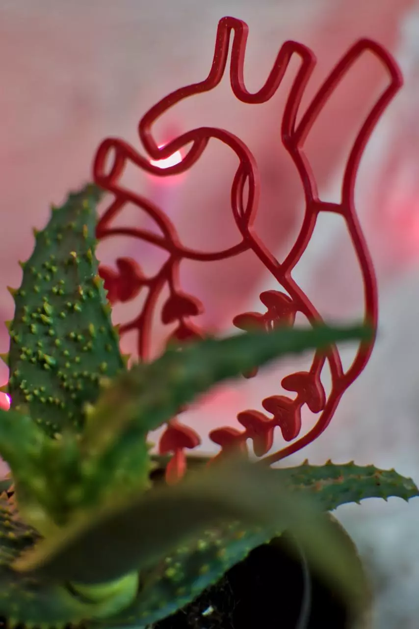 Regular Size Anatomical Heart Trellis 🫀🌱 thumbnail