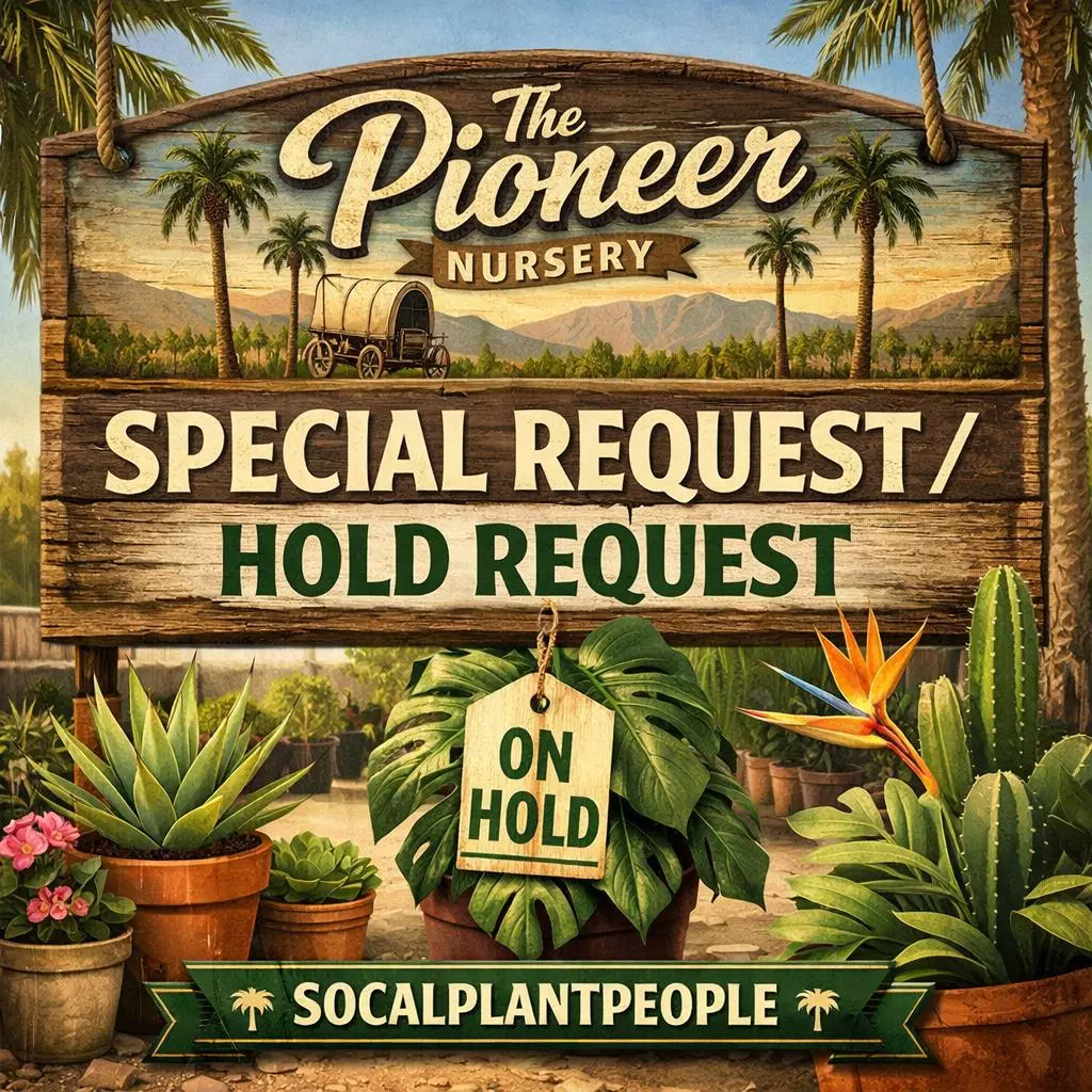 Hold Request, Delay Request or Other Special Request thumbnail