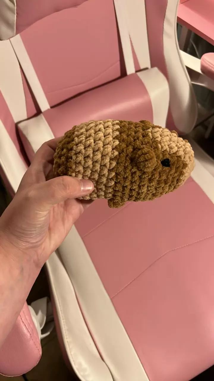 Gracious Guinea pig thumbnail