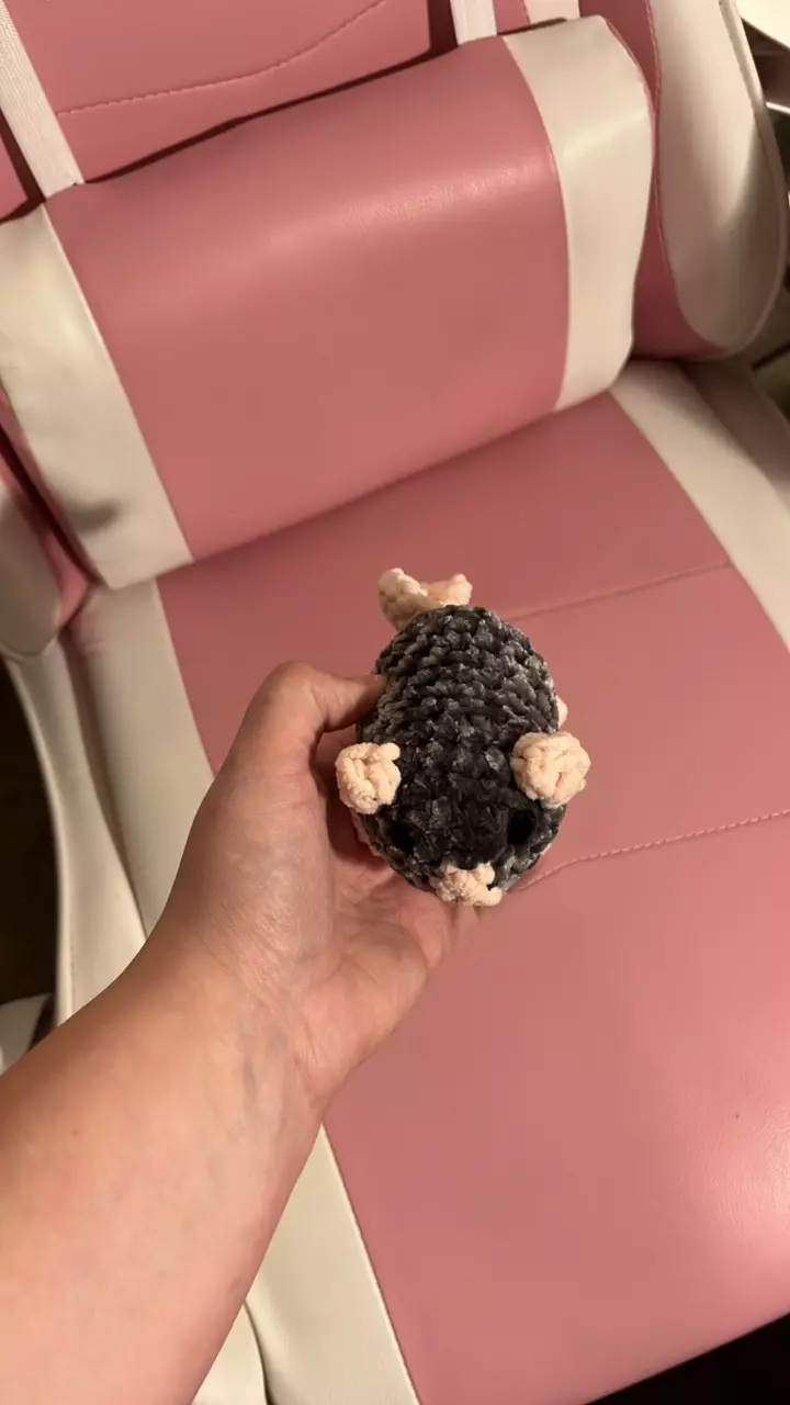 Mysterious mouse thumbnail