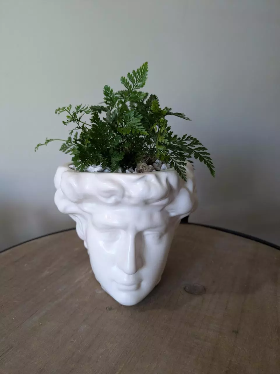 David's Head Ceramic White Planter Pot 4" thumbnail