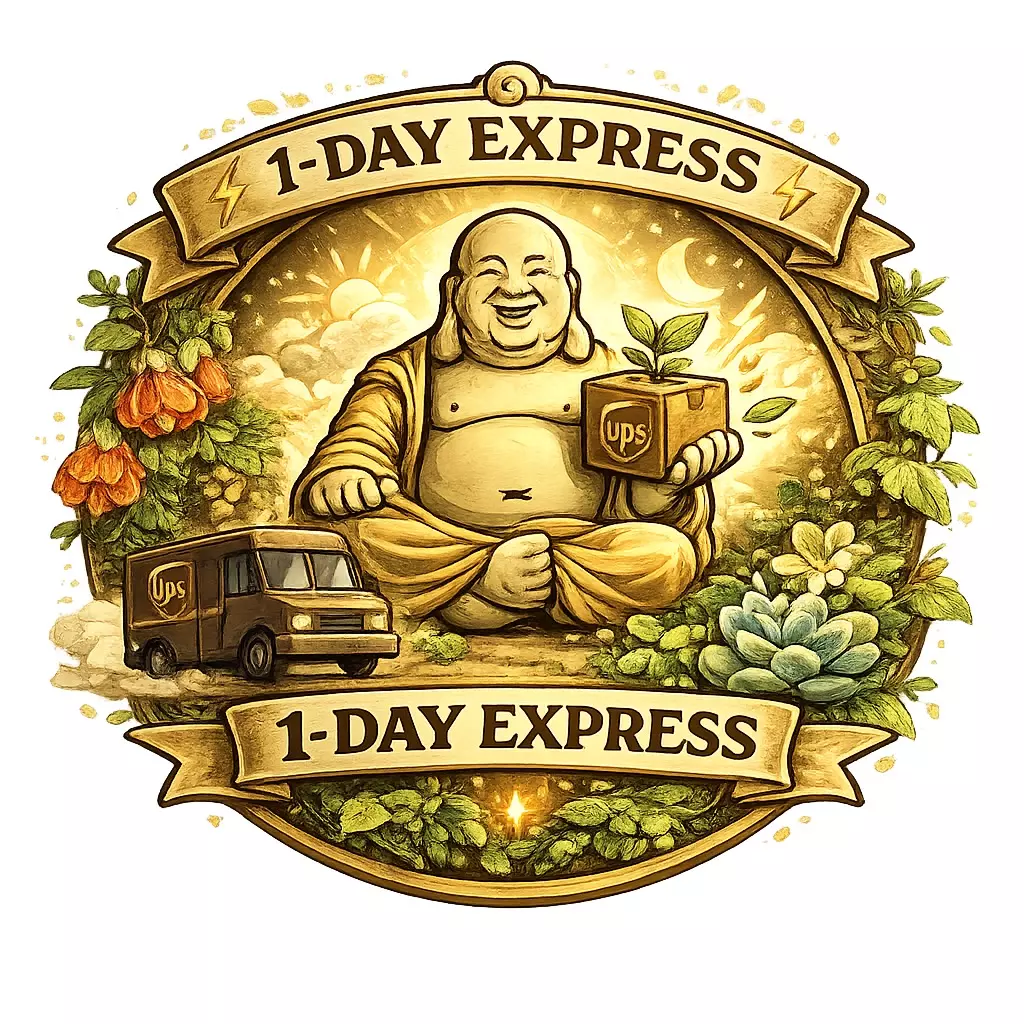 UPS One-Day Express Upgrade 🚀🌱 Fastest Shipping Option thumbnail