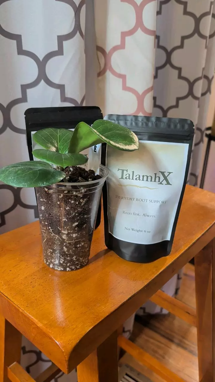 TalamhX – Roots-First Biostimulant 6 oz. thumbnail