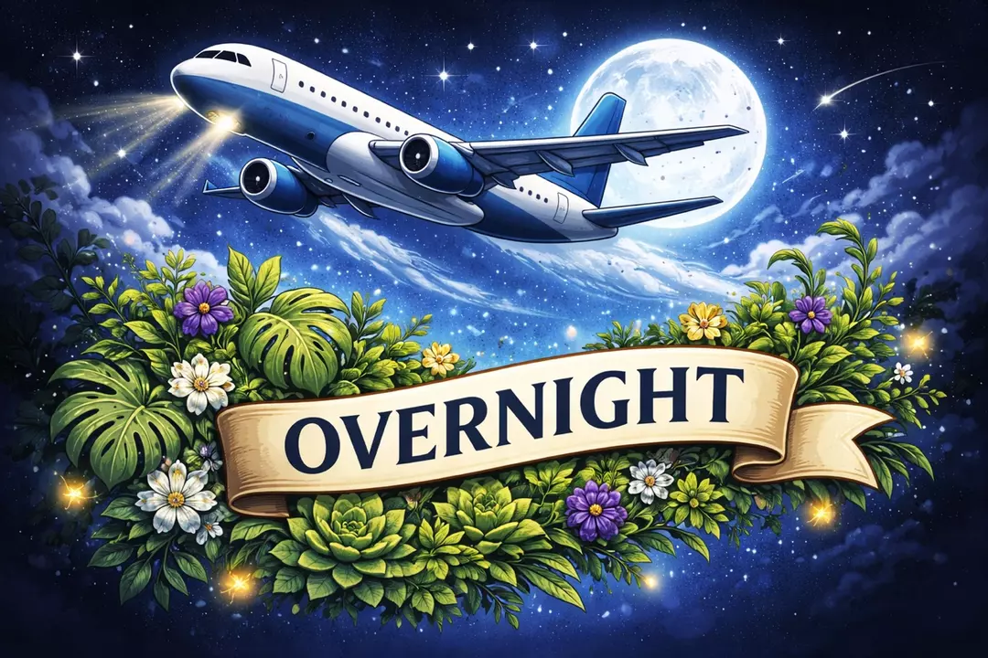 Overnight Delivery $45 thumbnail