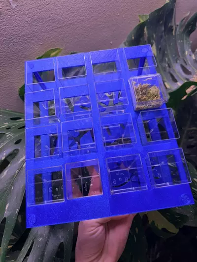 plant/Custom square corm cup holder with cups-0-thumbnail