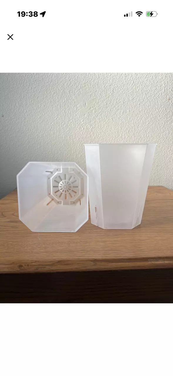 Reserved for @tmrwplant 2”square/pentagon transparent pots (200) thumbnail