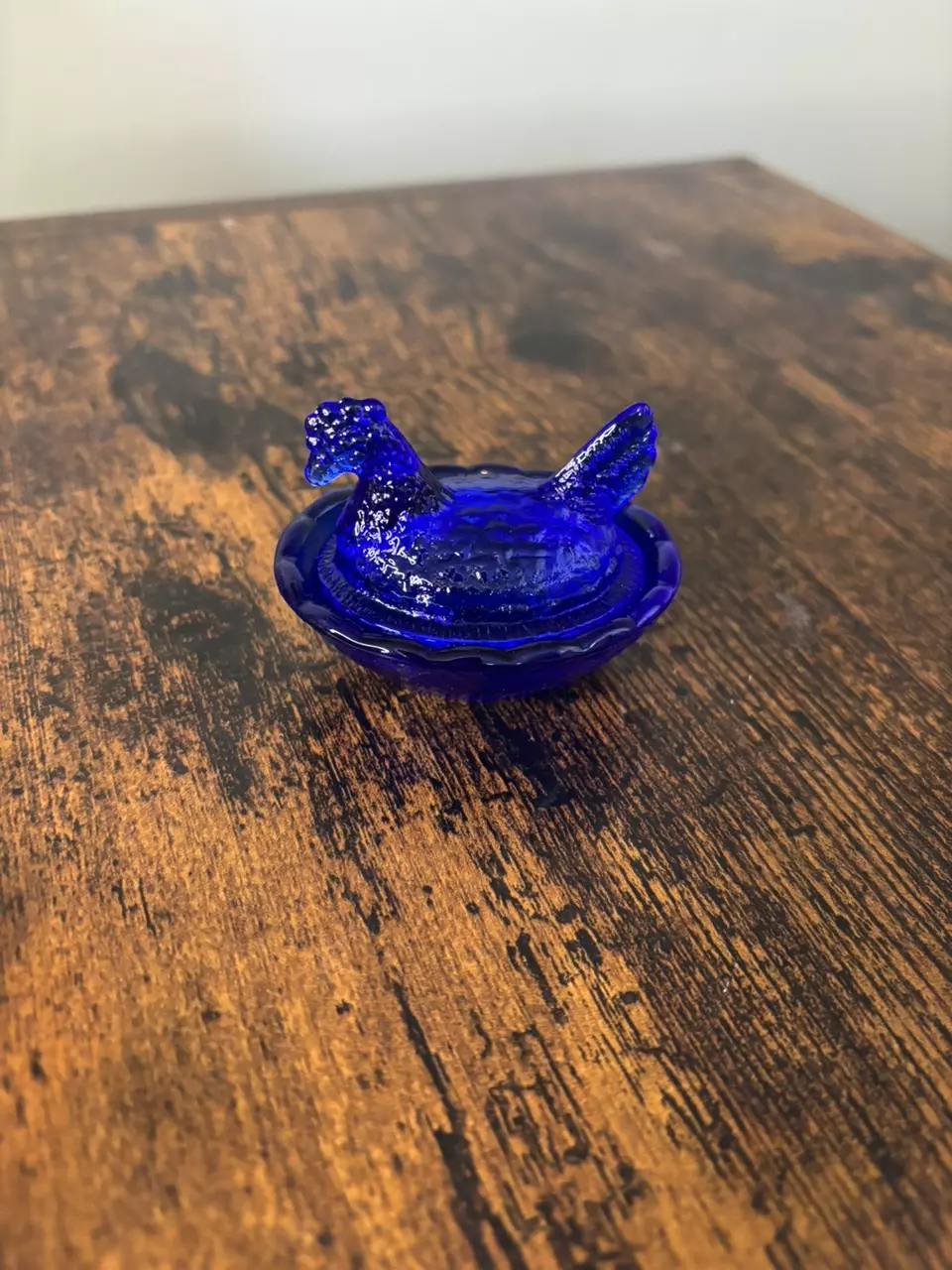 Cobalt Hen on Nest thumbnail