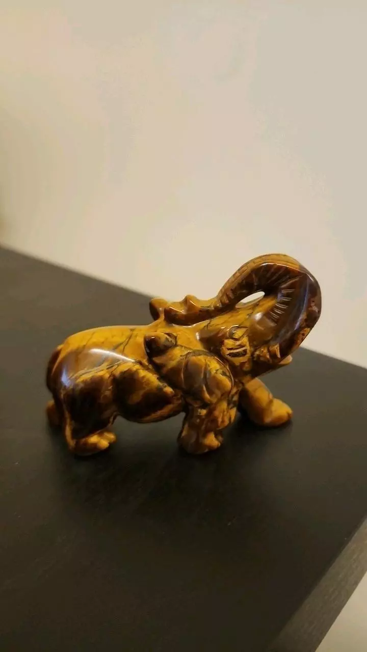 Tiger's Eye elephant thumbnail