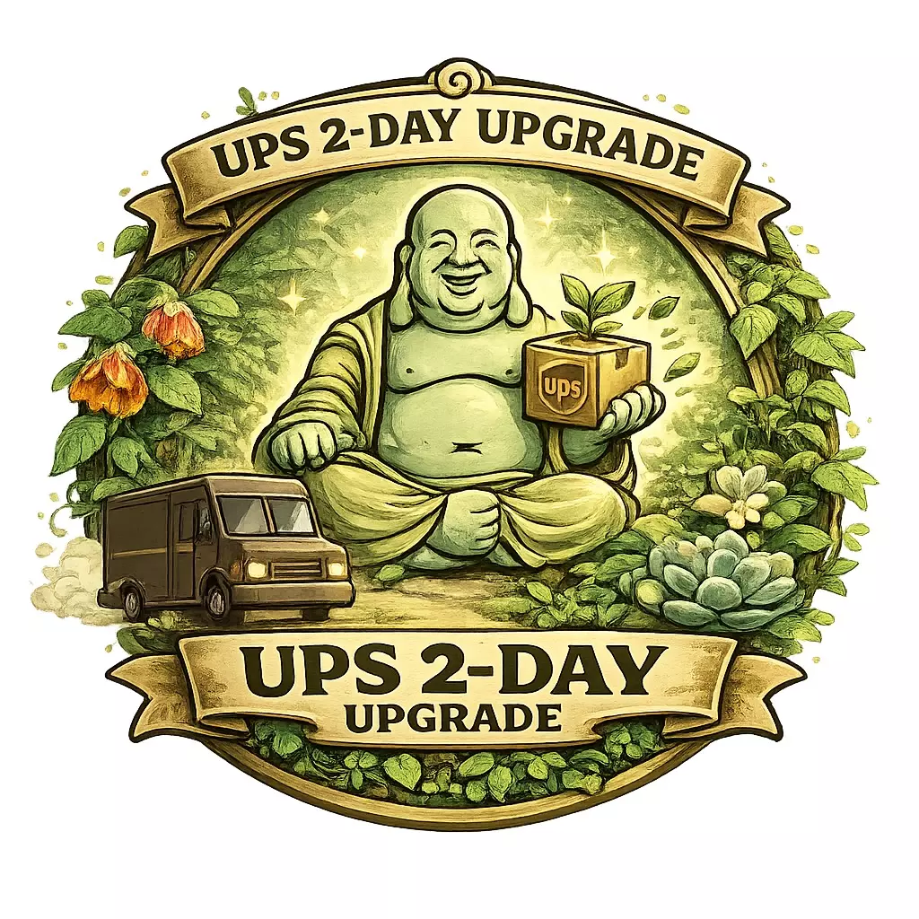 UPS 2-Day Air Shipping Upgrade ✈️🌿 Faster, Safer Delivery thumbnail