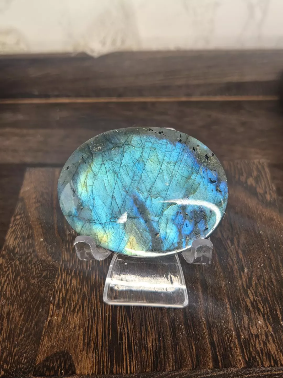 Lab palm B thumbnail