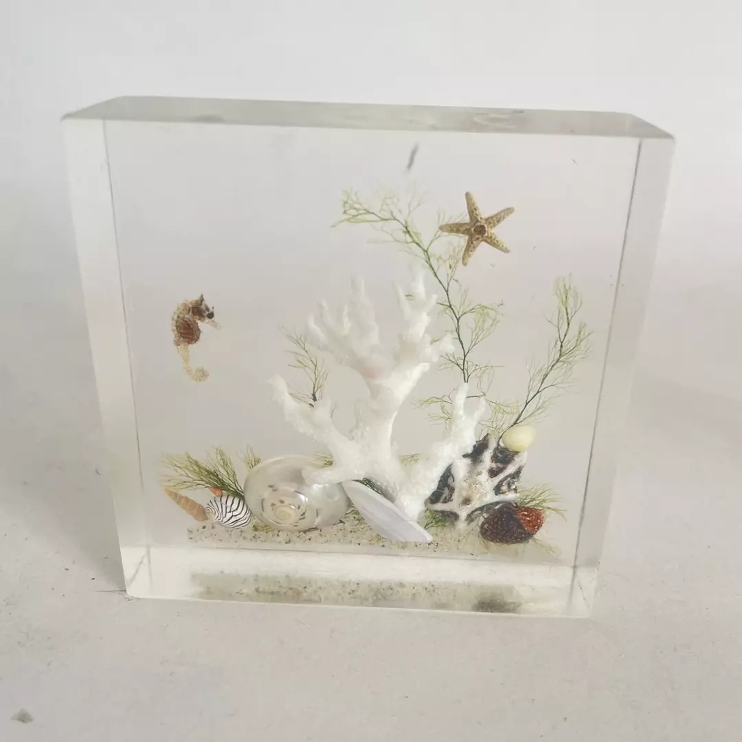Clear Float Ocean Lucite Scene thumbnail