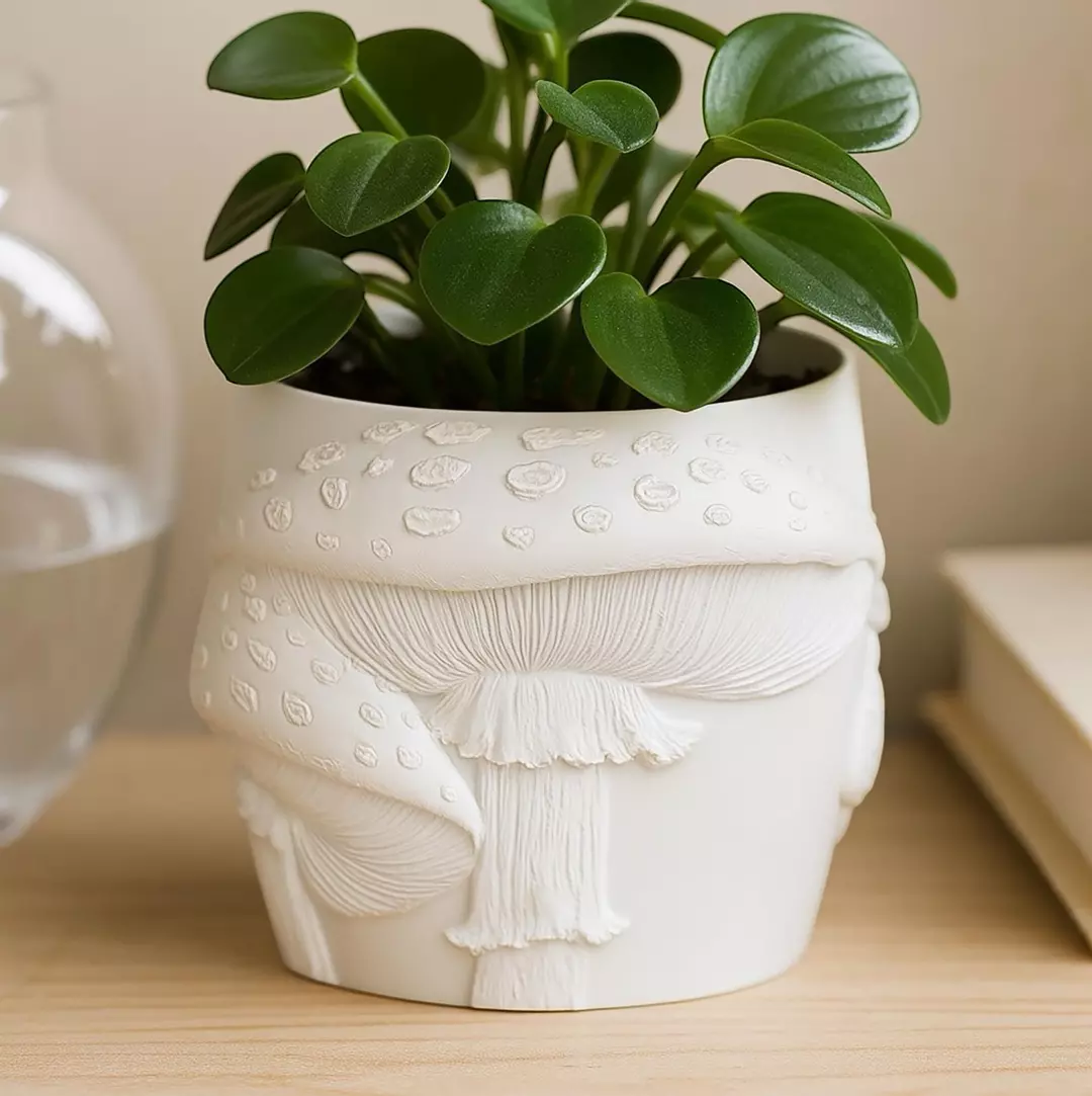 Mushroom Plant Pot- 4 inches thumbnail
