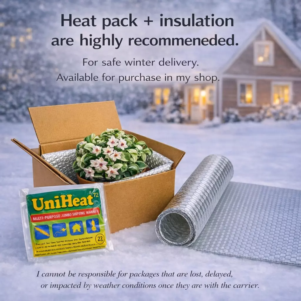 Winter Shipping Insulation and Heat Pack thumbnail