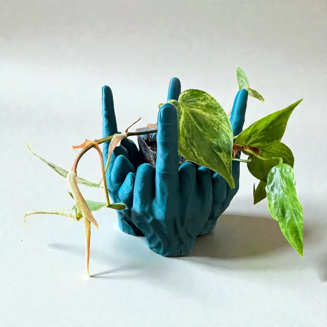 Cheeky Middle Finger Plant Pot-4 inch thumbnail