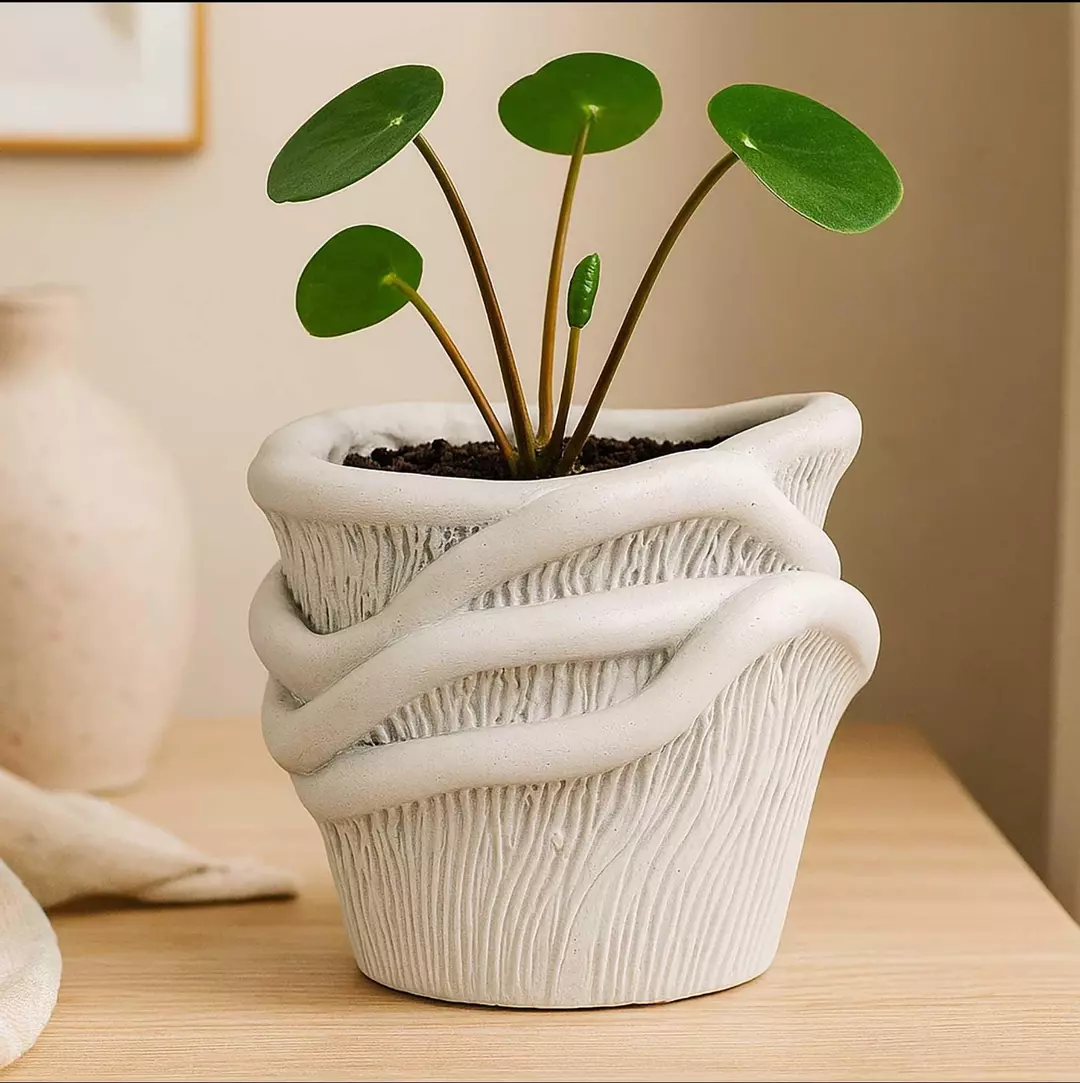 Mega Mushroom Plant Pot- 4 inches thumbnail
